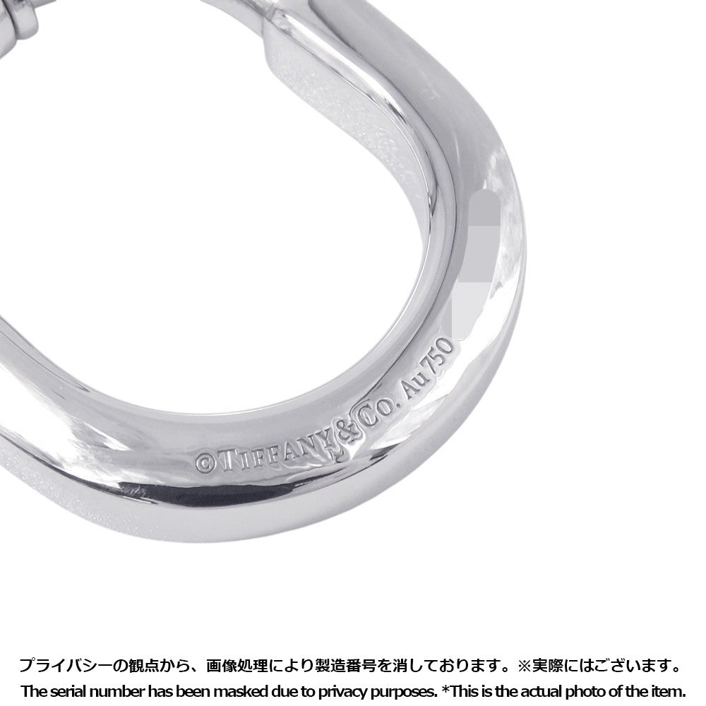 TIFFANY&Co. Padlock Pendant Size Medium72342100 18K White Gold