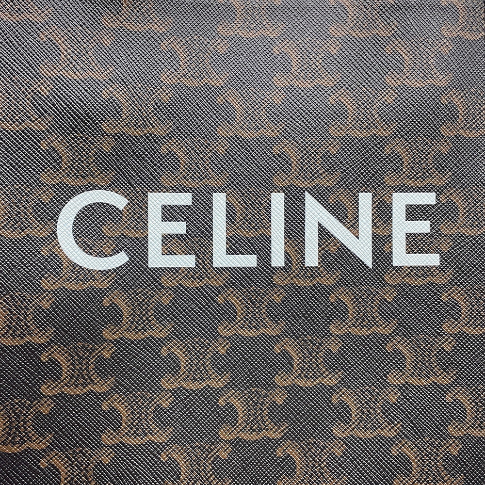 CELINE Triomphe Canvas Mini Vertical Canvas 2WAY Bag Tan194372 PVC Leather Size Mini