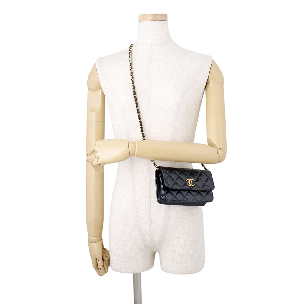 CHANEL Fawn holder GunmetalAP3482 Caviar Leather Size 17