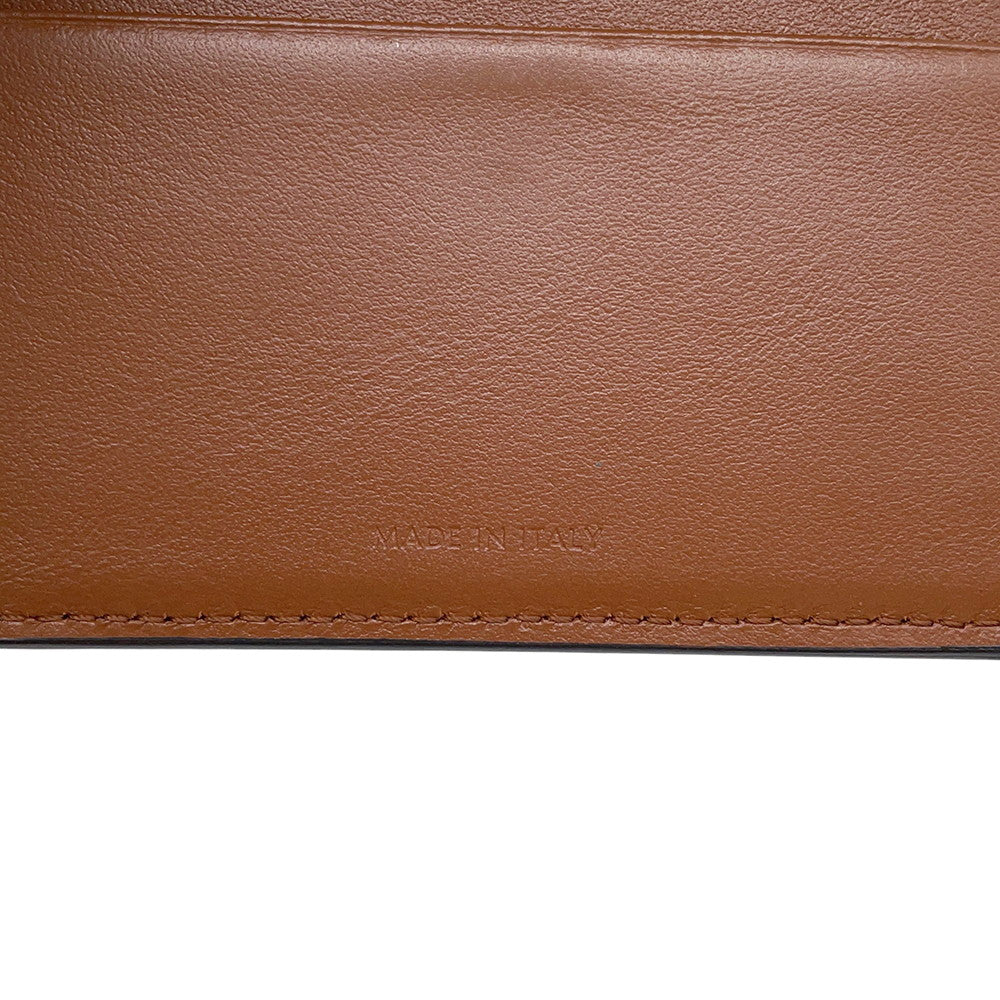 CELINE Triomphe Small Flap Wallet Brown10D783DPV Leather
